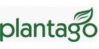 plantago