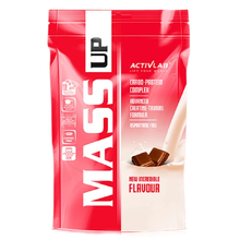 Mass UP 3000 г - шоколад (ActivLab)