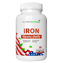 Iron Basic Daily 90 капс (Vitamin Garden)