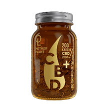 CBD + полипренолы 200 капс (Motherplant)