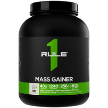Mass Gainer 2590 г - ваниль-сливки (Rule1)
